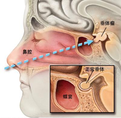 澳门刘伯温四码选一码